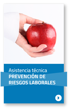 Asistencia técnica PREVENCIÓN DE RIESGOS LABORALES