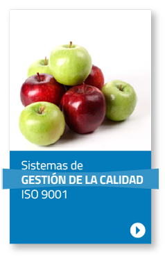 Sistemas de  GESTIÓN DE LA CALIDAD ISO 9001