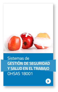 Sistemas de  GESTIÓN DE SEGURIDAD Y SALUD EN EL TRABAJO OHSAS 18001